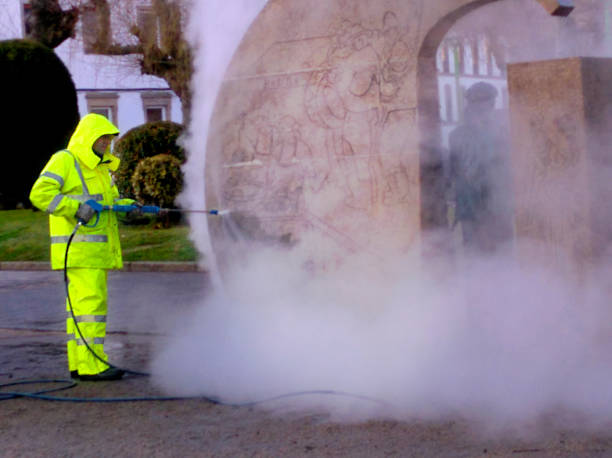 Best Roof Pressure Washing  in Lake Wildwood, CA
